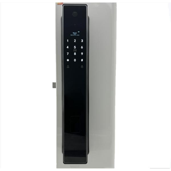 ELA E-760 High-end Smart Fingerprint Door Lock Can Real-time Cat Eye Monitoring Facial Recognition Finger Vein Smart Doo