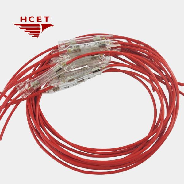 5A-30A Ultrasonic Welding Wire Glass Tube Fuse 10 Amp ODM