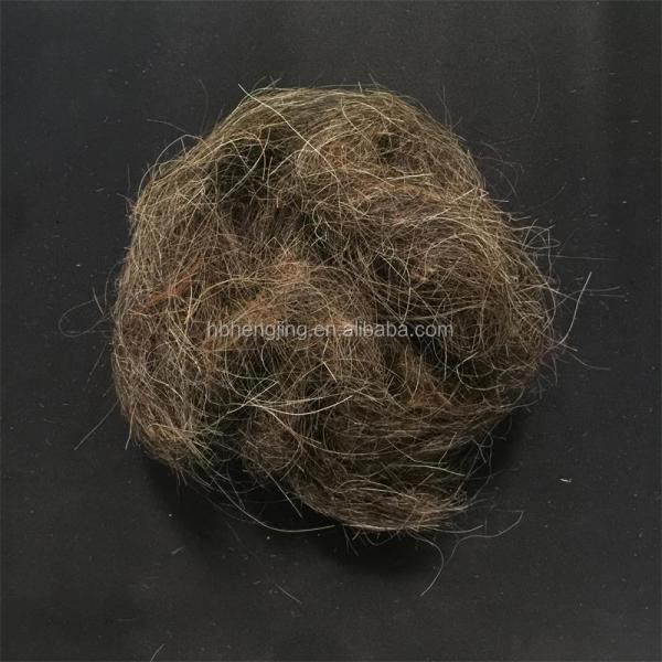 Washed Good Quality Clean Curled Horse Hair Waste for Mattress