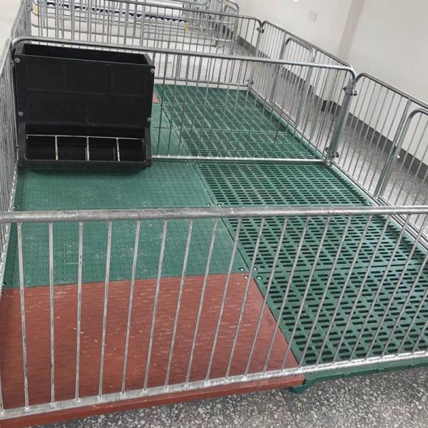 A placa galvanizada Weaner do PVC do equipamento agrícola da pocilga do mergulho quente aumentou a caixa de parada