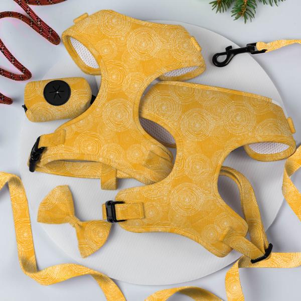 Ensemble de harnais de chien pour animaux de compagnie réglable en maille de néoprène de luxe avec laisse personnalisée et OEM / ODM accepté