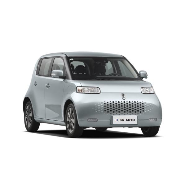 Девушки семьи автомобилей кота мини EV ORA корабль 102km/H энергии белой новый