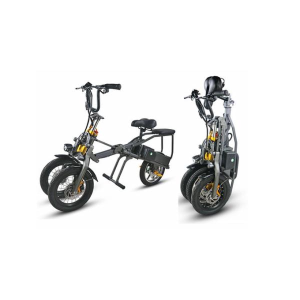 3 Wheel Foldable Electric Tricycle Bike High Speed Powerful 2 Pcs Battery 350W
