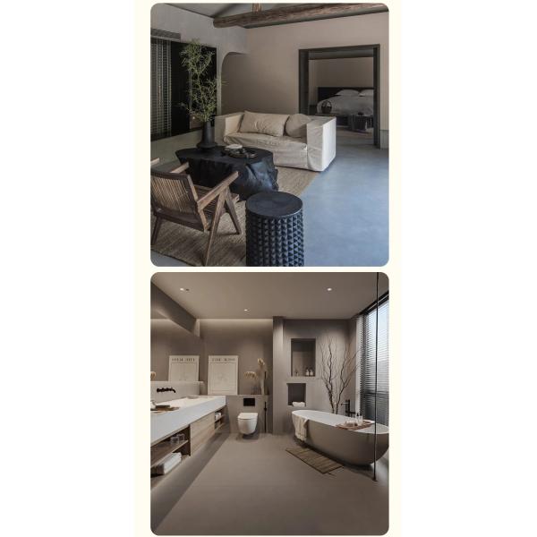 EINECS No 202-415-4 Высокоблестящий отделочный лак для внутреннего и наружного покрытия стен