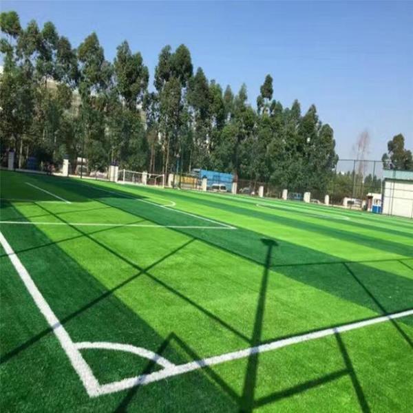 SGS Outdoor Artificial Grass