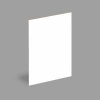 Los paneles de pared decorativos de Wpc del estilo moderno para el 1.22mx2.8m interior