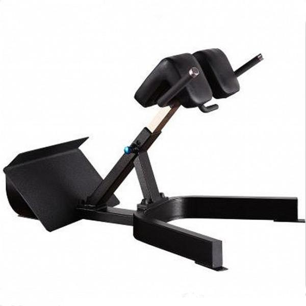 Befreeman Vente chaude salle de sport exercices de remise en forme 45 degrés machine d'extension du dos chaise romaine à vendre