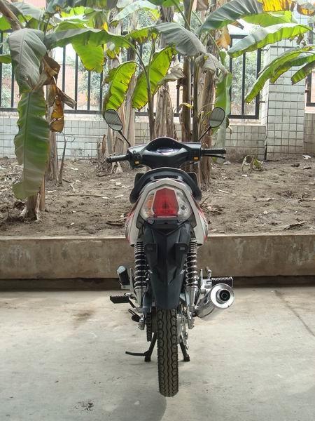 Ucrânia Dominica Venda quente 110cc barato mini moto ZS motor de alto desempenho 125cc super cub moto