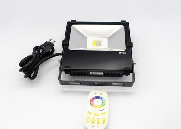Colorful Garden Light 50W RGB Spot Light for Outdoor Lighting with Remote Control
