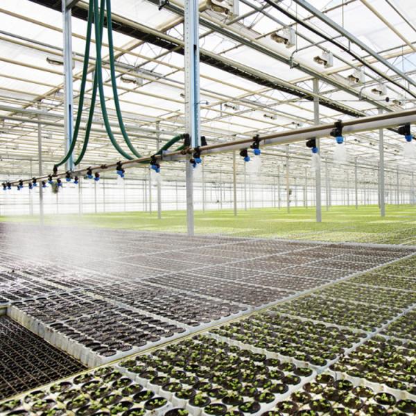 Sistema de irrigação poli da estufa do gotejamento para a exploração agrícola hortícola