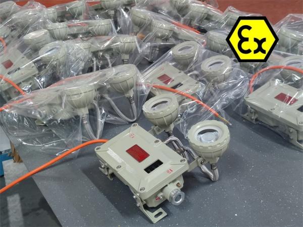 Lumière d'urgence résistante à l'explosion montée au mur et au plafond certifiée ATEX/IECEx pour les sites pétroliers, gaziers, chimiques et miniers