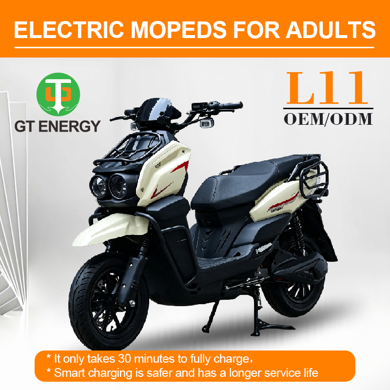 Southeast Asia electric scooter , Adult‑Sized Electric Scooter