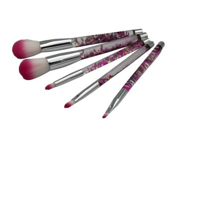 Pinceau superbe cosmétique de brosse de lecture d'outil de maquillage de beauté de brosse de la figure 5pc