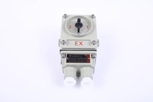 50/60HZ Voltage and 2 Poles Explosion Proof Switch Made of Marine Grade Aluminum for Harsh Environments