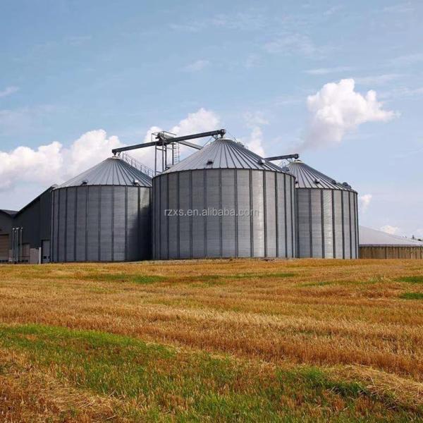 STGF50 5000 toneladas Máquina de armazenamento de milho, arroz e trigo Ventilação espiral Silos de grãos de aço corrugado