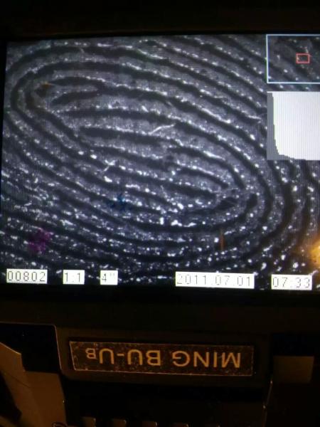 High Definition Computer Forensic Equipment With 200nm – 1200nm Spectrum Range