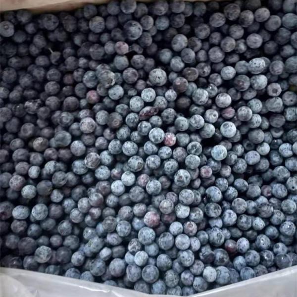 Venta al por mayor de Chinese Iqf Frozen Berries IQF Frozen Blueberry para la exportación con buen precio