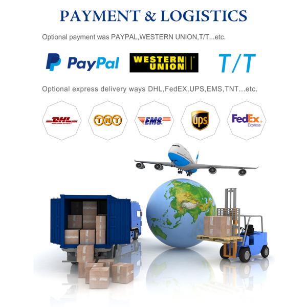 Eco-Friendly Self-Adhesive Back Glue Logo for Packaging Printing and Small Trademark