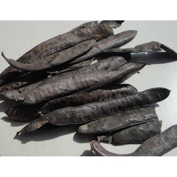 Chinese Honeylocust Fruit extract / Gleditsia sinensis extract / Fructus gleditsiae extract