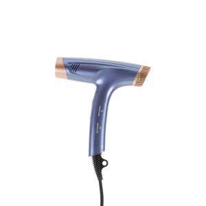 Brushless Motor Hair Dryer