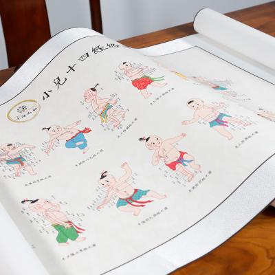 0.4 Diameter Acupuncture Culture Categories Teaching Supplies for Therapeutic Treatment