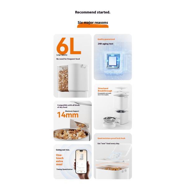 Smart Automatic Cat Dog Pet Feeder Large 6 Liter Capacity Eco-Friendly Solid Plastic Waterproof IPX5 Battery Powered