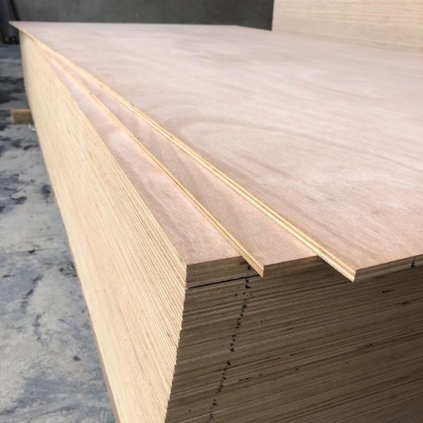 2440x1220mm Placa de madeira compensada folheada para armários móveis