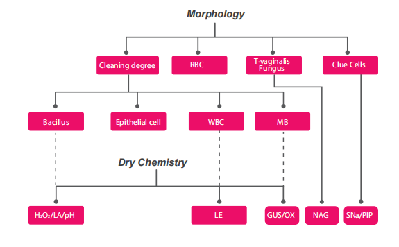 Автоматические влагалищные медицинские службы анализатора инфекций используемые в Gynecology с цветной камерой