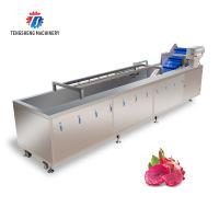 Os SS frutificam equipamento comercial da limpeza vegetal da máquina de lavar da bolha
