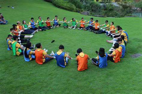 Universal Bus Clutch Discs and Pressure Plates 1601-00447 1601-00446 with Advantage 10KG