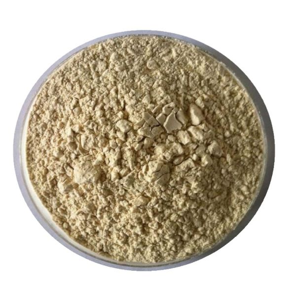 Premium Garlic Powder | Rich Flavor for Cooking & Baking