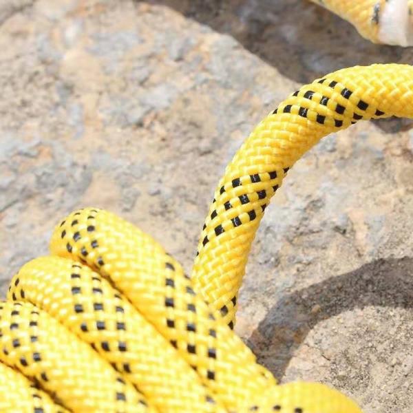 corda de nylon exterior de 100Ft