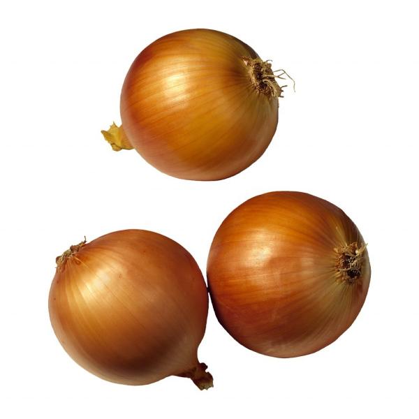 2023 new crop of brand fresh onions yellow white long lasting peeled onion price in China Chinese onion
