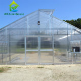 Подгонянный парник сада листа ПК Hydroponic для салата