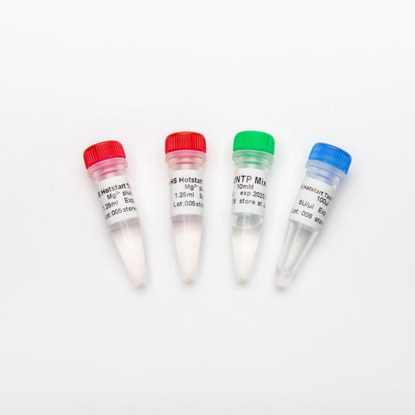 HS Hotstart Taq DNA Polymerase PCR Master Mix P1091 500U High Specificity