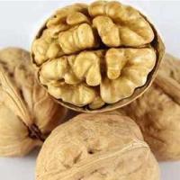 Venda a retalho Casca de nozes fresca deliciosa Nutrição Núcleo Alimentos Nozes secas Preço da fábrica Produtos mais vendidos da Amazon