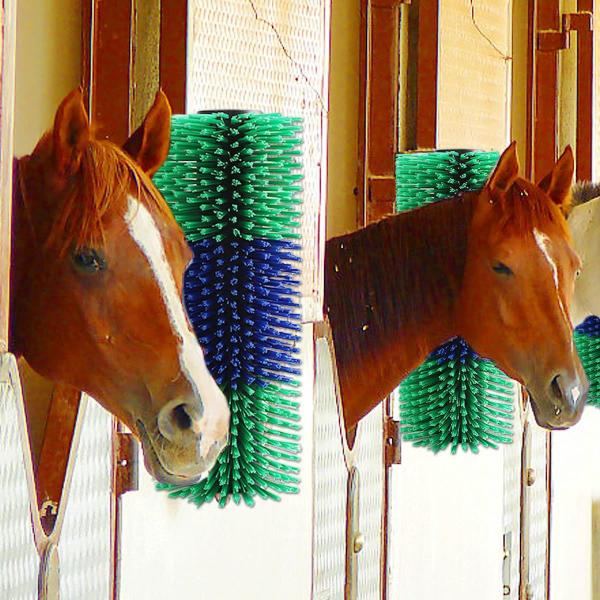Brosse bleue et verte pour le corps du bétail pour le nettoyage et le massage des animaux d'élevage