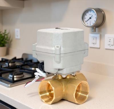 Etrany 1 1/4 DC12-24V 3-Way SS304 Ball & Brass Electric Water Valve Motorized Ball Valve Fluid Control High Temperature IP67