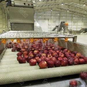 Apple Processing Line For  Machinery And Comprehensive Engineering