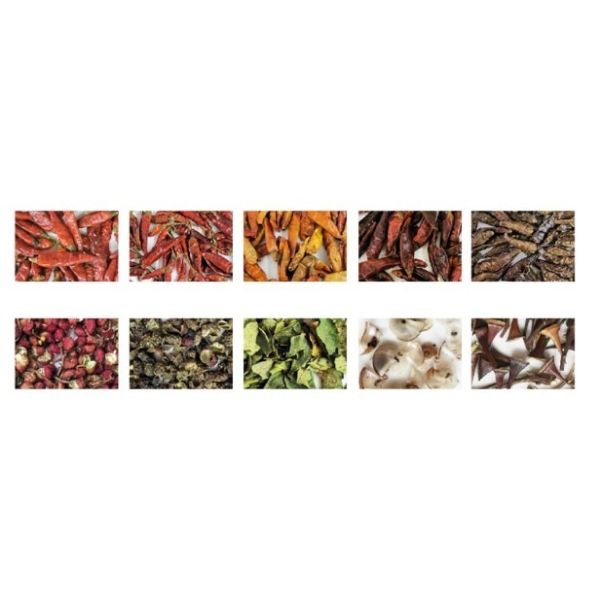 Deep Learning Beans Peanut Color Sorter 220V Optical Seed Sorter