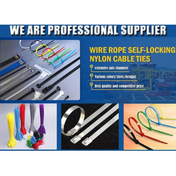 Stainless steel cable tie