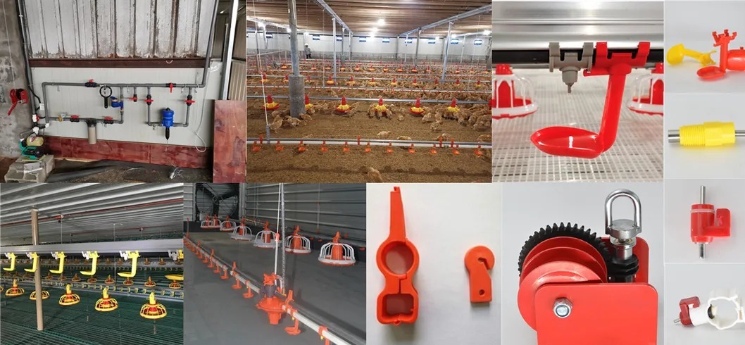 Fully-Automatic Poultry Farm Equipment with Hot-Dip Galvanized Steel and Negative Pressure Ventilation