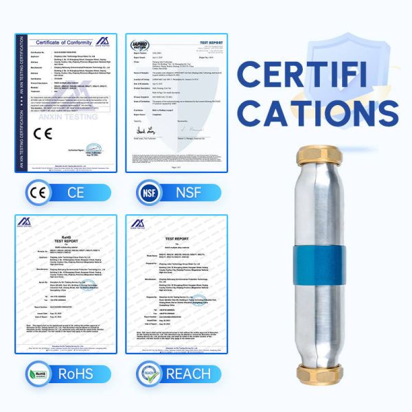 High Efficiency SAAS Turbo Chip Water Descaler with 5T/H Flow Rate and NSF Certification for Whole House Water Systems