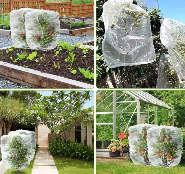 3m Insect Net Mesh 50 Mesh To Protect Fruits Bug Mesh Netting