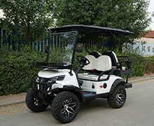 Lake Horse Electric Golf Cart with Buggy Car Tour Tire Front Disc Rear Drum Brake System