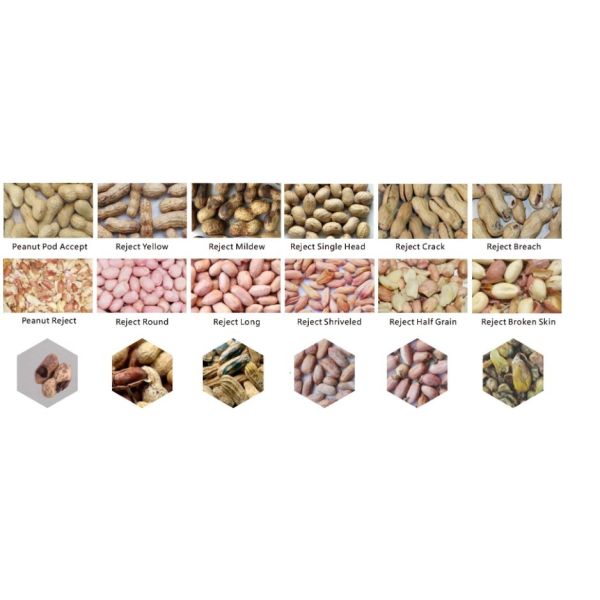 Optical Peanut Sorter Machine Skinless Peanut Sorting Machine