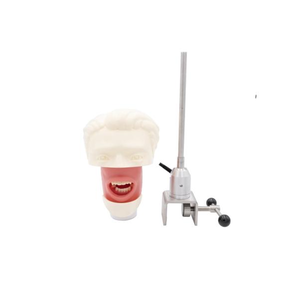 Dental Teaching Tooth Model Dental Simulator System Phantom Head for Training New Dental Implant Simulator Head