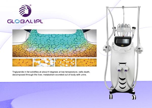 RF Diode Laser Cryolipolysis Machine 4 In 1 Body Slimming Machine For Salon