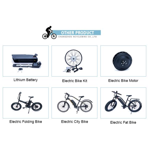 36V 8.8ah Hub Motor Style Electric Bike Lithium Battery 800 Cycles Life