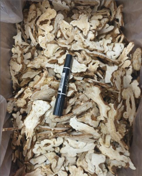 Atractylodes Macrocephala Koidz Chinese Herbs Atractylodes Bai Zhu